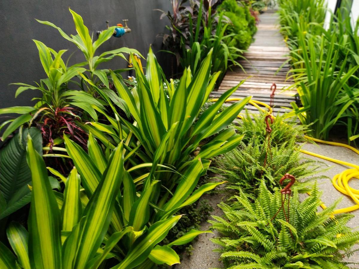 Hostel Beds In Garden