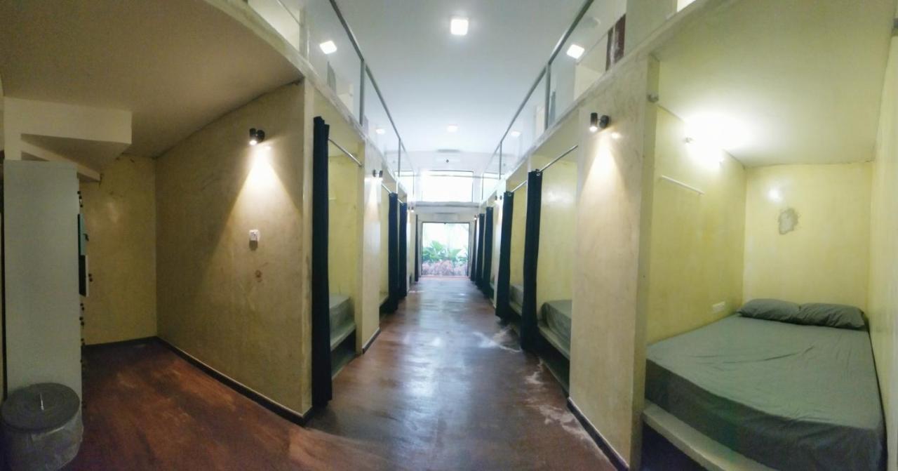 Beds In Garden Hostel