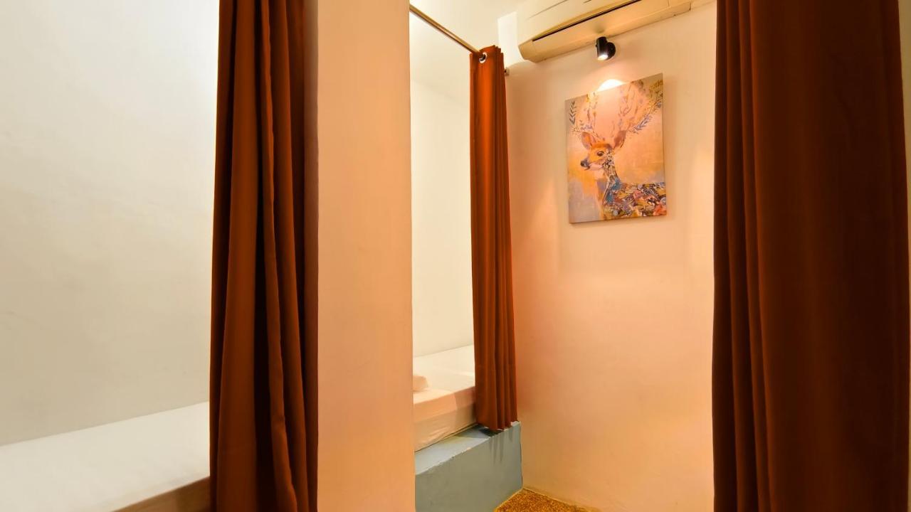 Beds In Garden Hostel