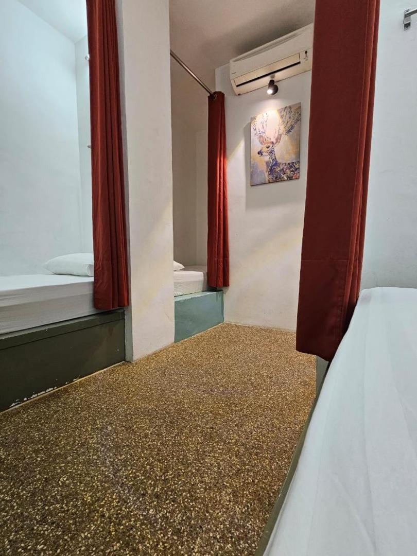 Beds In Garden Hostel